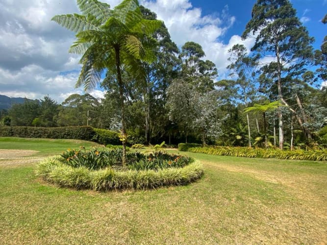 Finca en arriendo en Sajonia, Rionegro, 420 m² · foto 2 de 24