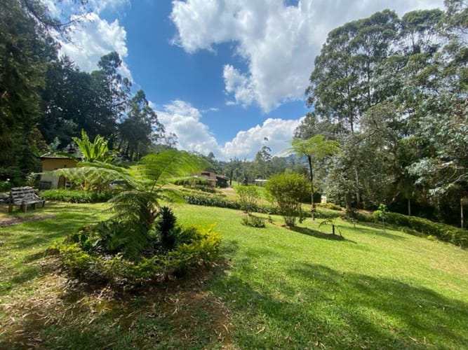 Finca en arriendo en Sajonia, Rionegro, 420 m² · foto 4 de 24