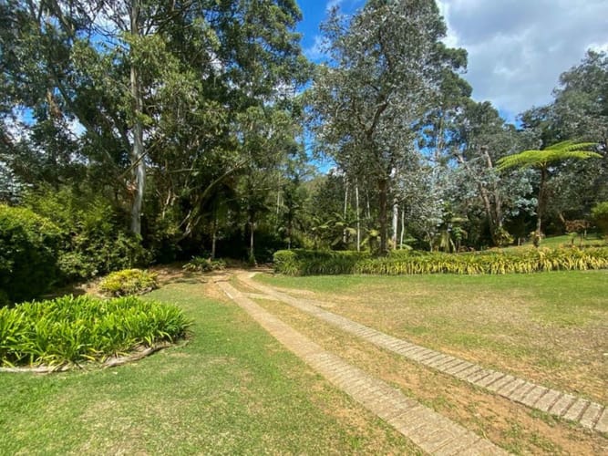 Finca en arriendo en Sajonia, Rionegro, 420 m² · foto 6 de 24