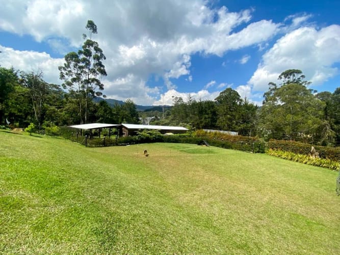 Finca en arriendo en Sajonia, Rionegro, 420 m² · foto 11 de 24