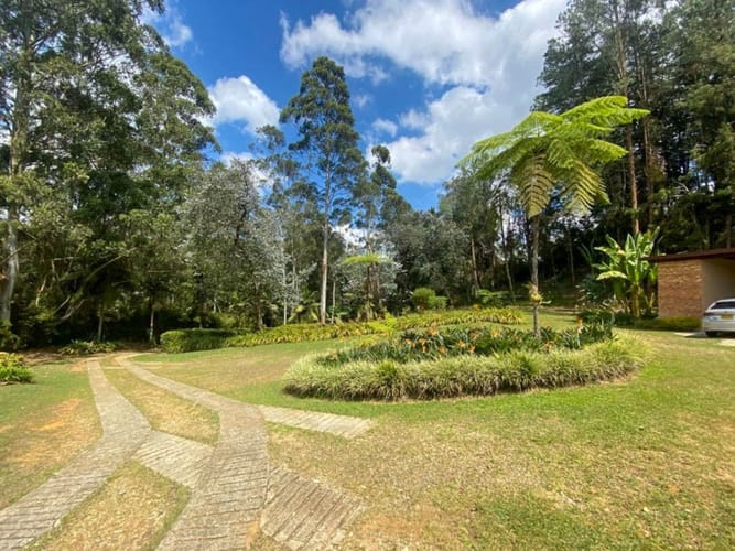 Finca en arriendo en Sajonia, Rionegro, 420 m² · foto 23 de 24
