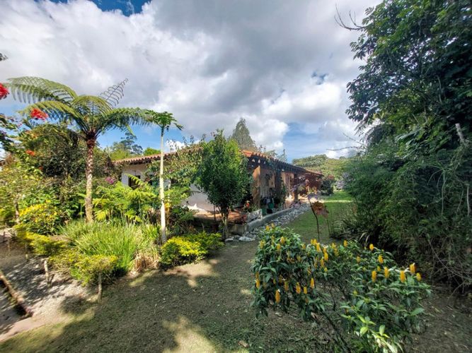 Lote en arriendo en Rionegro, 200 m² · foto 6 de 14