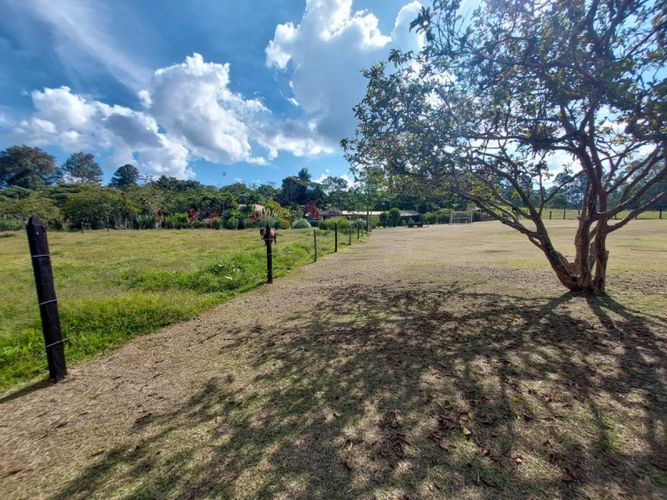 Lote en arriendo en Rionegro, 200 m² · foto 8 de 14