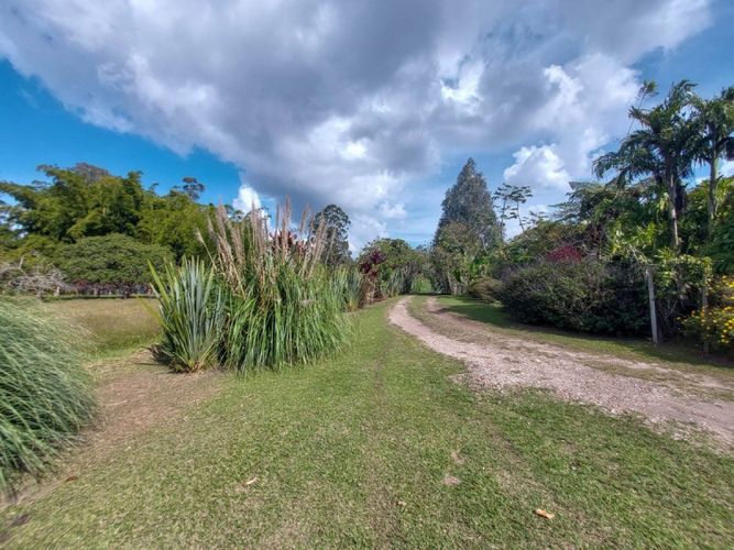 Lote en arriendo en Rionegro, 200 m² · foto 9 de 14