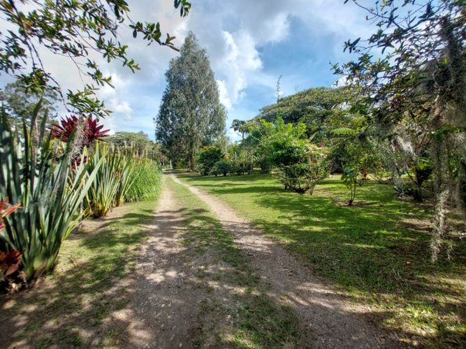 Lote en arriendo en Rionegro, 200 m² · foto 10 de 14
