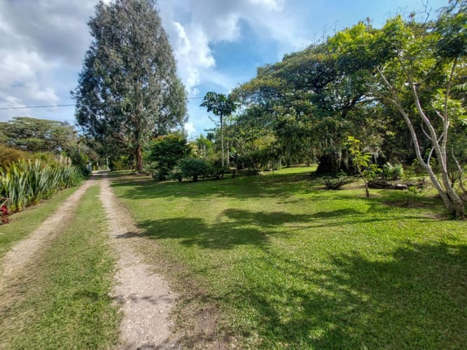 Lote en arriendo en Rionegro, 200 m² · foto 11 de 14