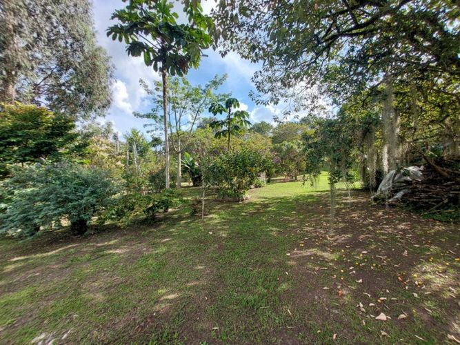 Lote en arriendo en Rionegro, 200 m² · foto 12 de 14