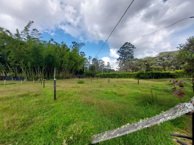 Lote en arriendo en Rionegro, 200 m² · foto 14 de 14