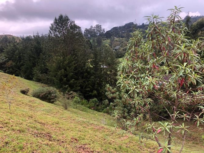 Lote en venta en Pantanillo, El Retiro · foto 8 de 17