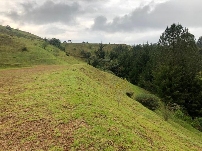 Lote en venta en Pantanillo, El Retiro · foto 9 de 17