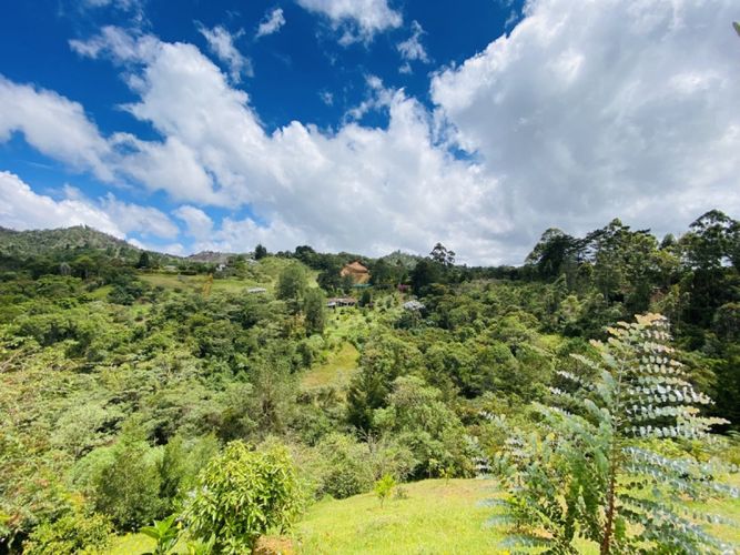 Casa de 4 alcobas en venta en Pantanillo, El Retiro, 355 m² · foto 20 de 24