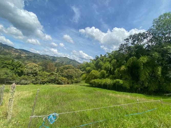 Lote en venta en El Retiro · foto 6 de 8