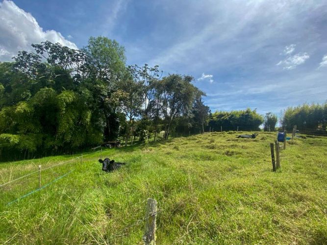 Lote en venta en El Retiro · foto 7 de 8