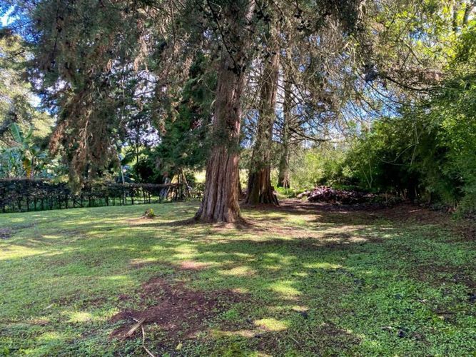 Casa de 1 alcoba en venta en El Carmen de Viboral, 160 m² · foto 11 de 24