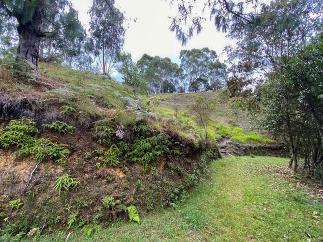 Lote en venta en Sajonia, Rionegro · foto 10 de 10