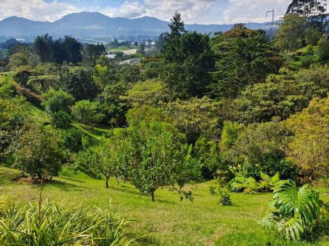 Casa de 3 alcobas en venta en Guamito, Rionegro, 326 m² · foto 8 de 17