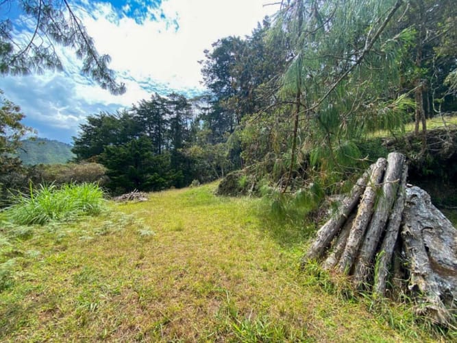 Lote en venta en Don Diego, El Retiro · foto 2 de 18
