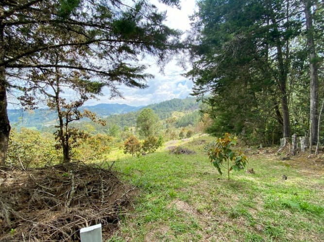 Lote en venta en Don Diego, El Retiro · foto 3 de 18
