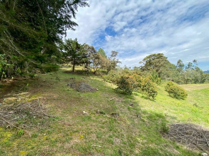 Lote en venta en Don Diego, El Retiro · foto 5 de 18