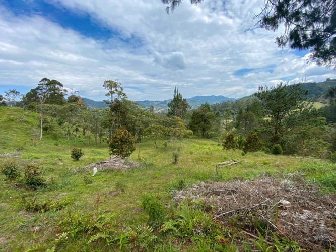 Lote en venta en Don Diego, El Retiro · foto 6 de 18