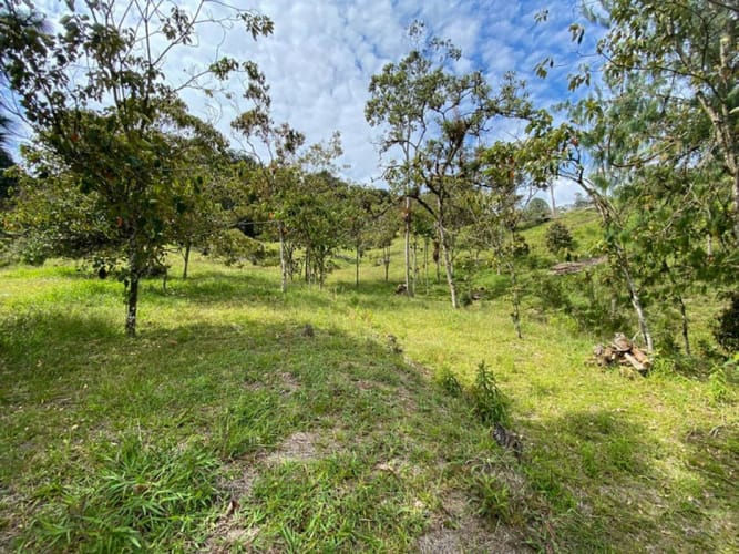 Lote en venta en Don Diego, El Retiro · foto 7 de 18