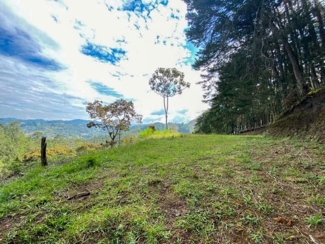 Lote en venta en Don Diego, El Retiro · foto 8 de 18