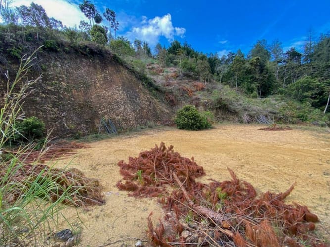 Lote en venta en Don Diego, El Retiro · foto 13 de 18