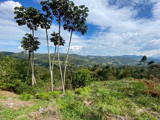 Lote en venta en Don Diego, El Retiro · foto 15 de 18