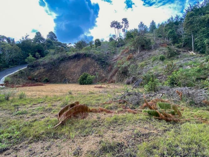 Lote en venta en Don Diego, El Retiro · foto 17 de 18