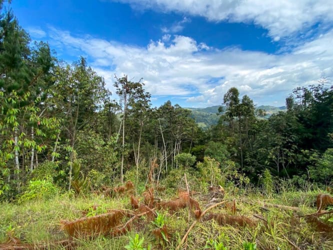 Lote en venta en Don Diego, El Retiro · foto 18 de 18