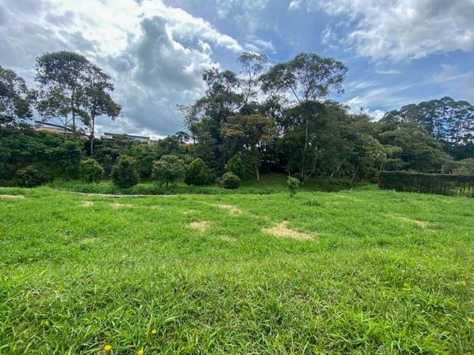 Lote en venta en Guamito, La Ceja · foto 3 de 8