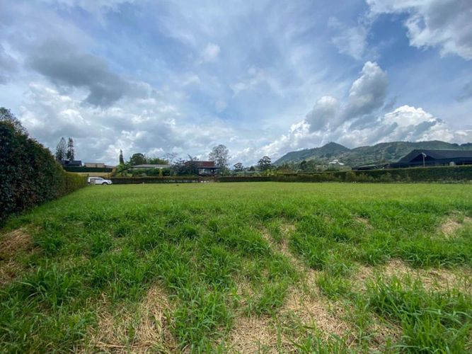 Lote en venta en Guamito, La Ceja · foto 6 de 8