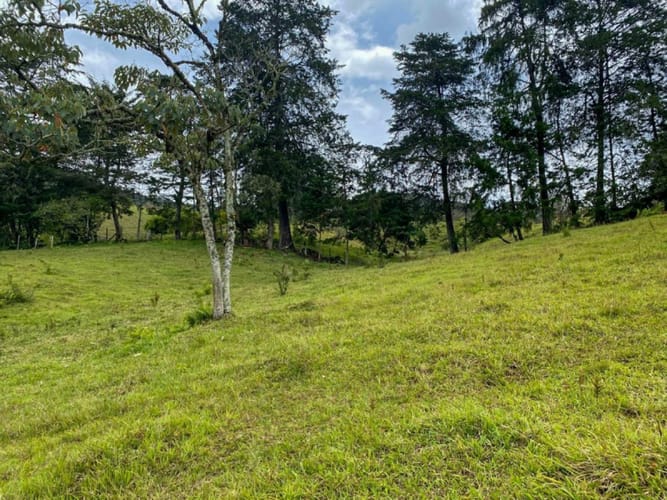 Finca en venta en La Ceja, 250 m² · foto 12 de 19