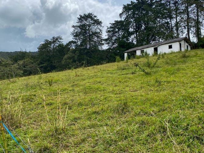 Finca en venta en La Ceja, 250 m² · foto 16 de 19