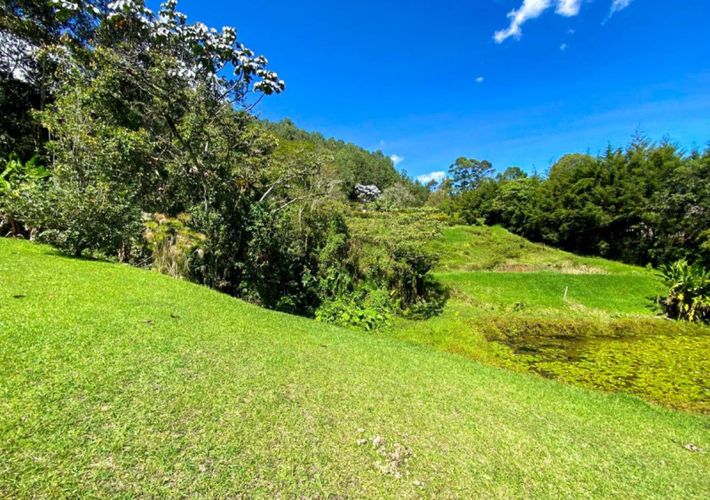Finca en venta en Guamito, La Ceja, 280 m² · foto 19 de 23