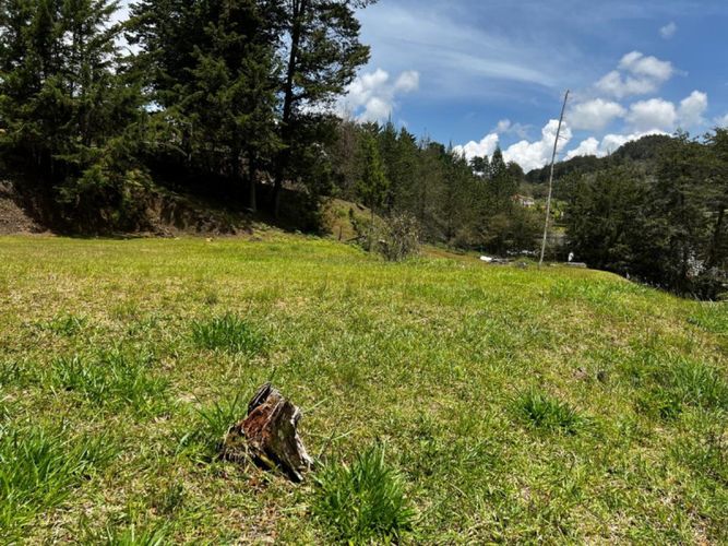 Lote en venta en Sajonia, Rionegro · foto 2 de 12