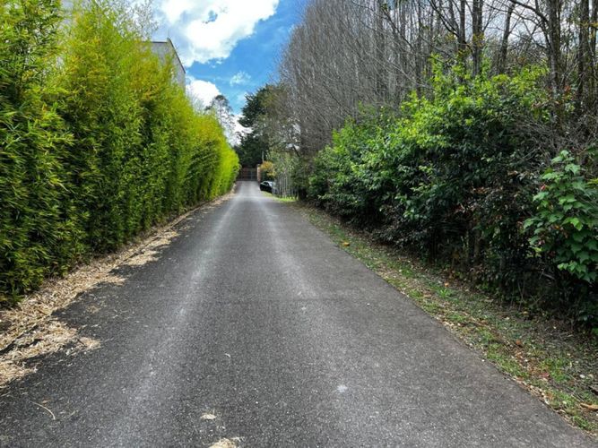 Lote en venta en Sajonia, Rionegro · foto 8 de 12