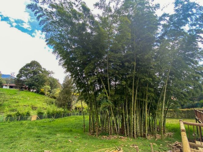 Finca en venta en El Carmen De Viboral, El Carmen de Viboral, 200 m² · foto 7 de 10