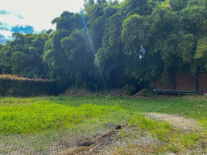 Finca en venta en El Carmen De Viboral, El Carmen de Viboral, 200 m² · foto 8 de 10