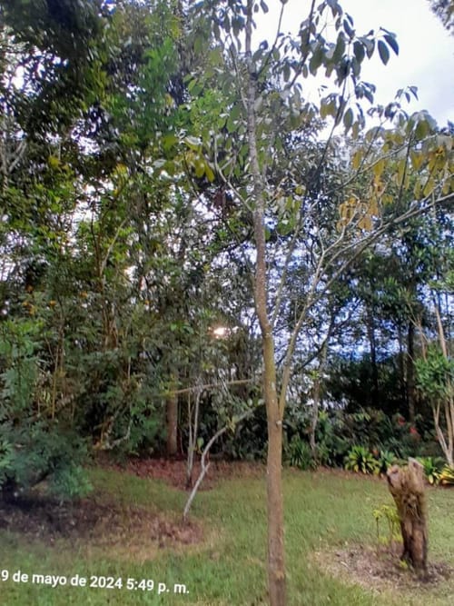 Finca en arriendo en El Carmen de Viboral, 6107 m² · foto 21 de 21