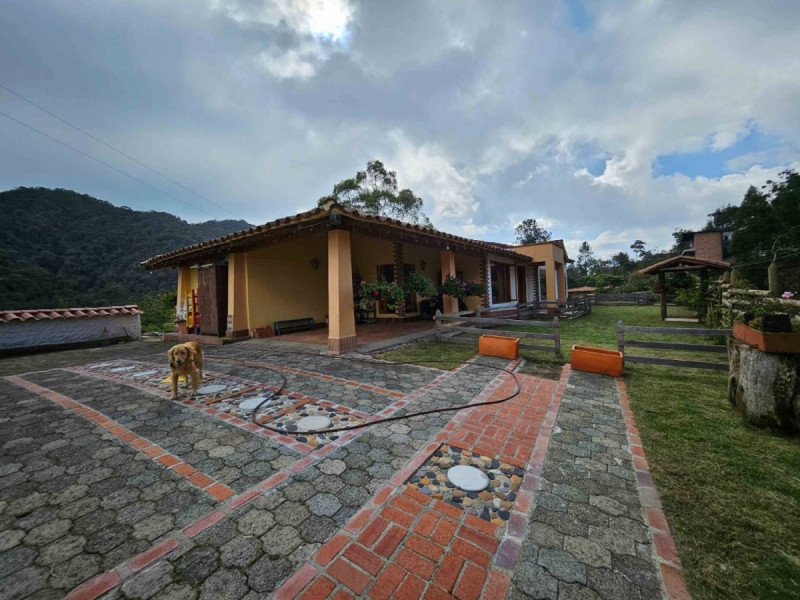 Casa en Arriendo en Vía Las Palmas, Envigado
