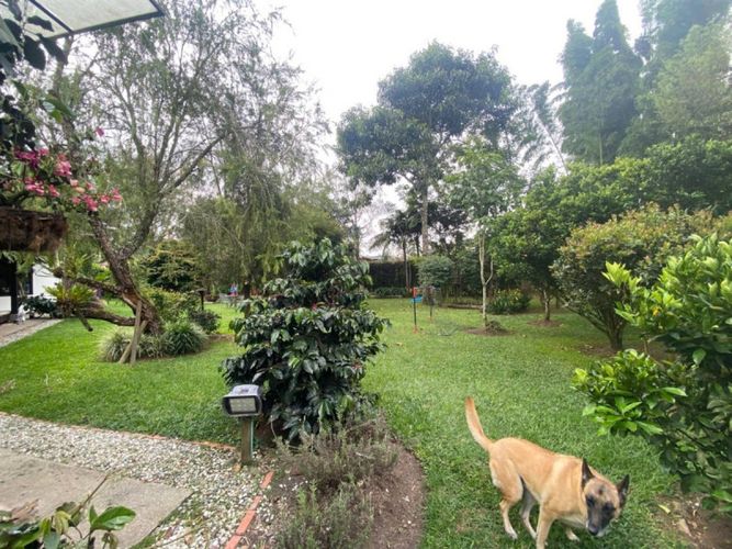 Casa de 3 alcobas en venta en Llano Grande, Rionegro · foto 6 de 18