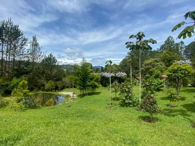 Casa de 1 alcoba en venta en La Ceja, 160 m² · foto 5 de 15
