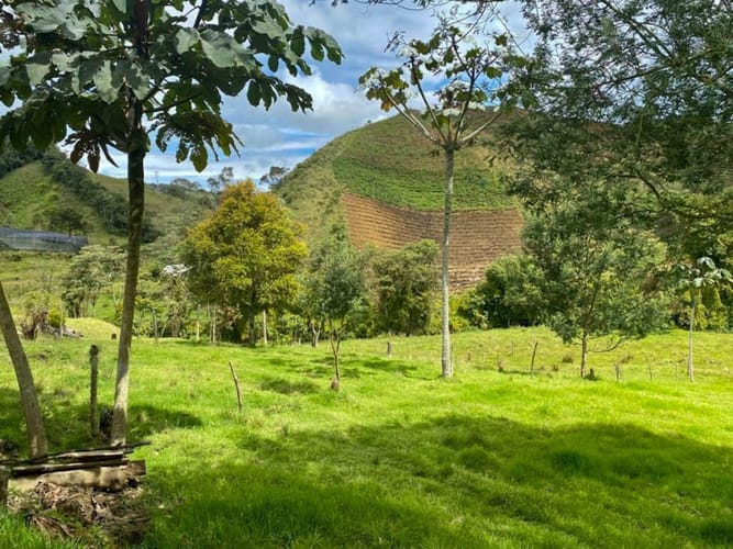 Lote en venta en Fatima, La Ceja, 162 m² · foto 2 de 7