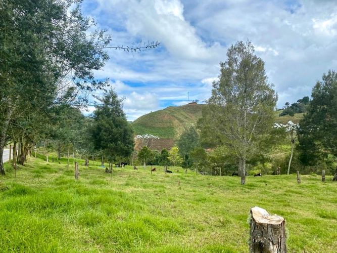 Lote en venta en Fatima, La Ceja, 162 m² · foto 5 de 7