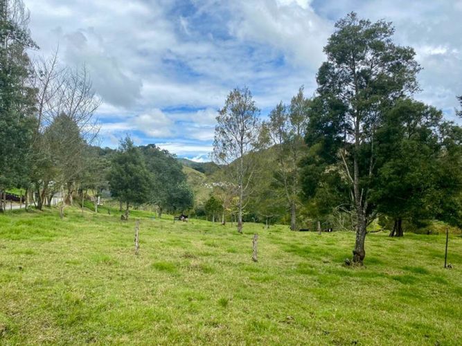 Lote en venta en Fatima, La Ceja, 162 m² · foto 6 de 7