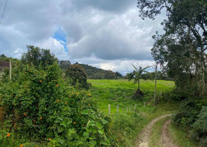 Lote en venta en Yarumal, Envigado, 19743 m² · foto 2 de 10