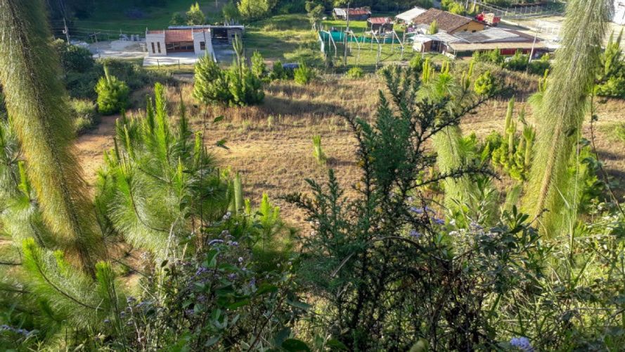Lote en venta en El Porvenir, Rionegro, 170 m² · foto 3 de 5
