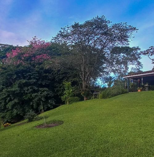 Finca en venta en El Carmen De Viboral, El Carmen de Viboral, 400 m² · foto 2 de 16