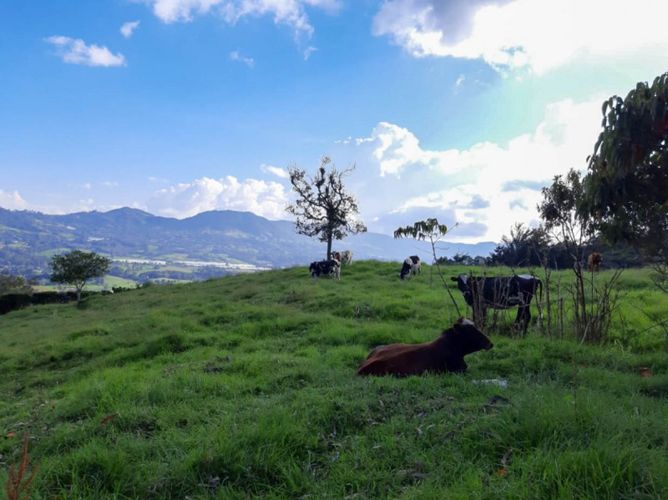 Lote en venta en Fatima, La Ceja · foto 2 de 5